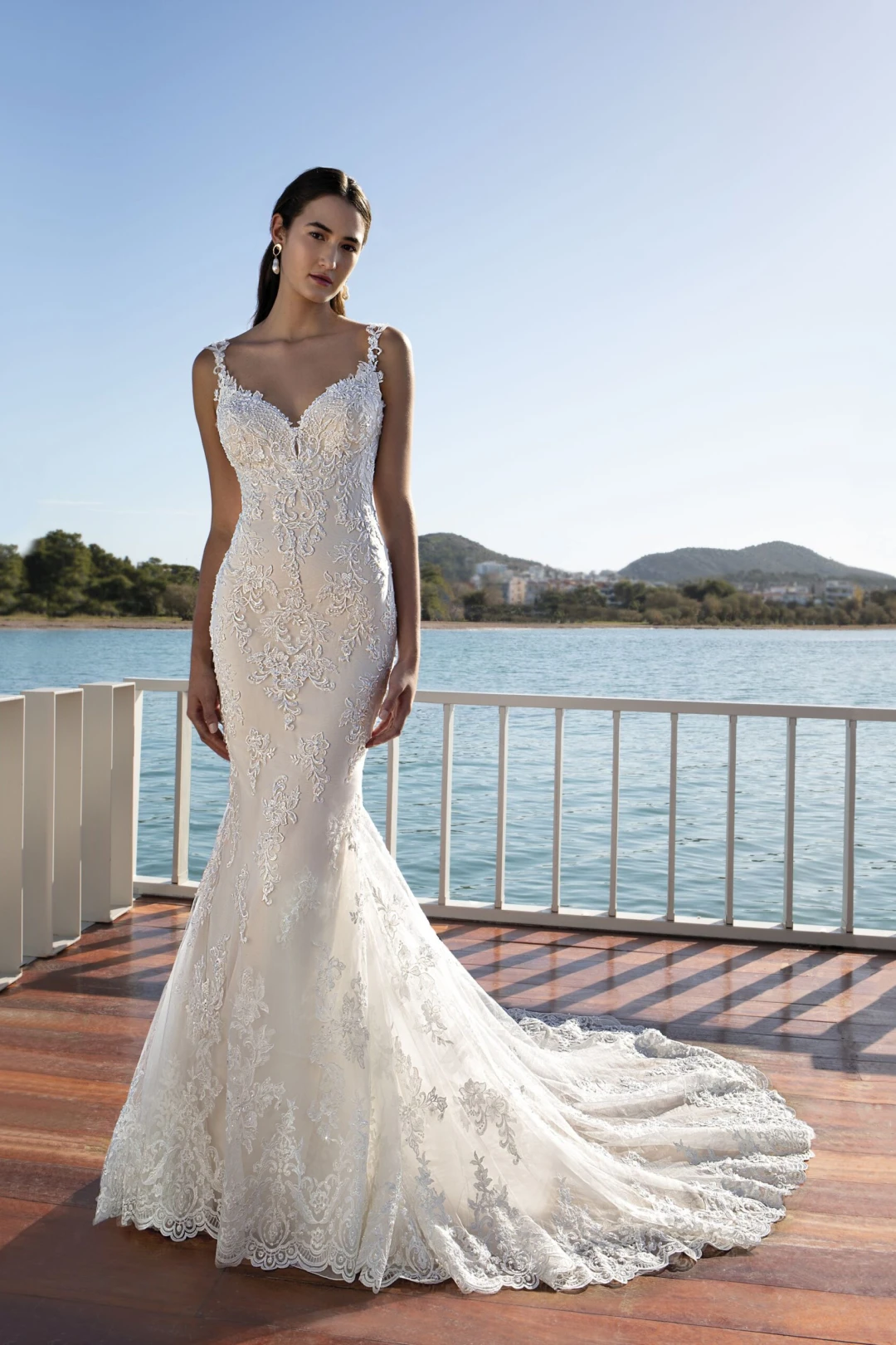 8017 Demetrios - evergreen